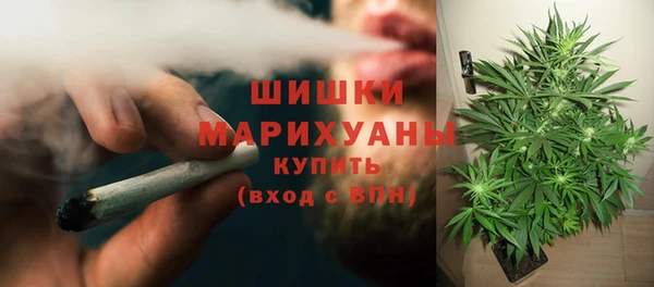 дмт Лиски